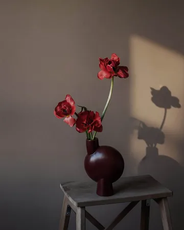 Sphere Bubl 花瓶 中 - Maroon - 101 Copenhagen