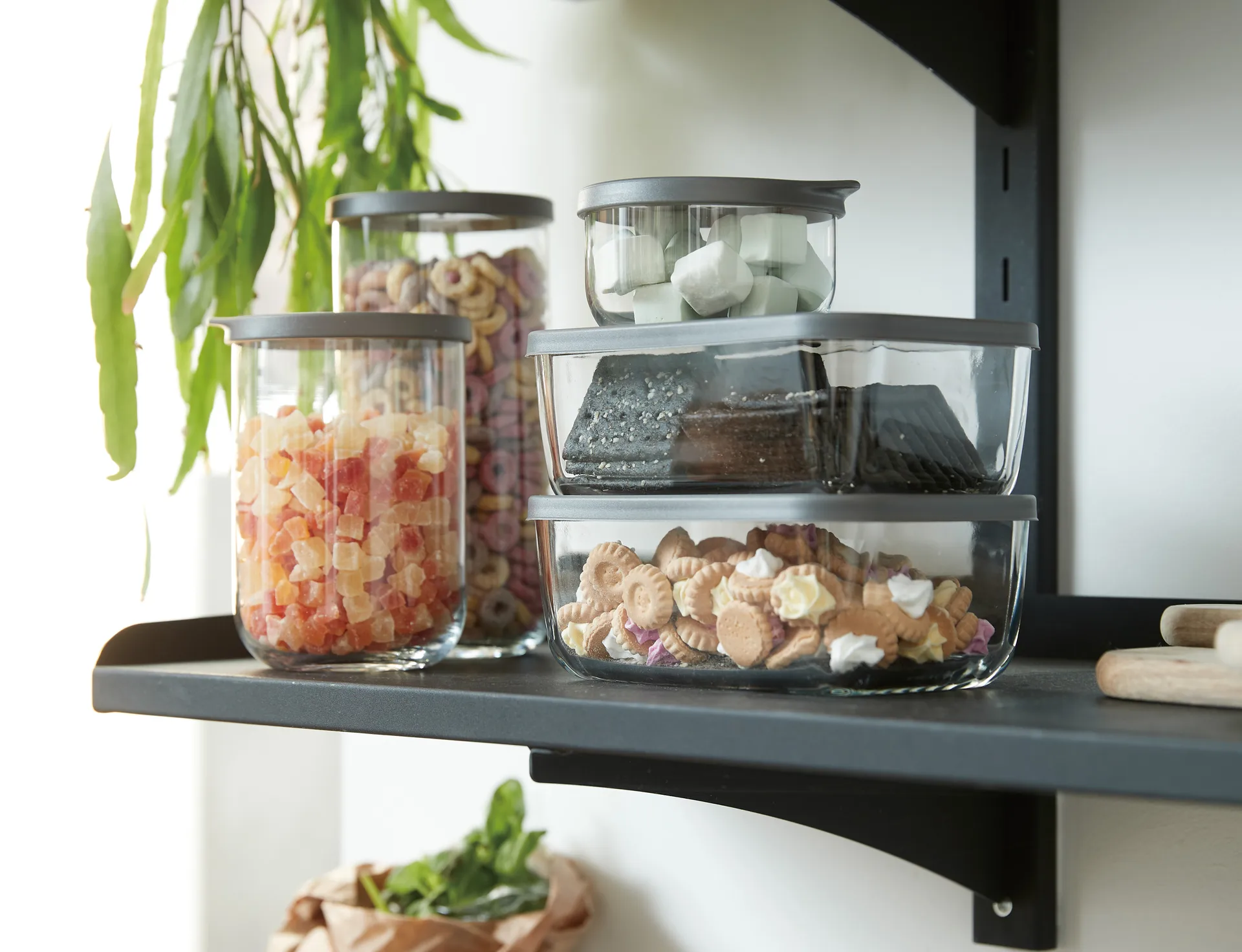 Café 収納ジャー 蓋つき 1 L, Clear Aida | アイーダ