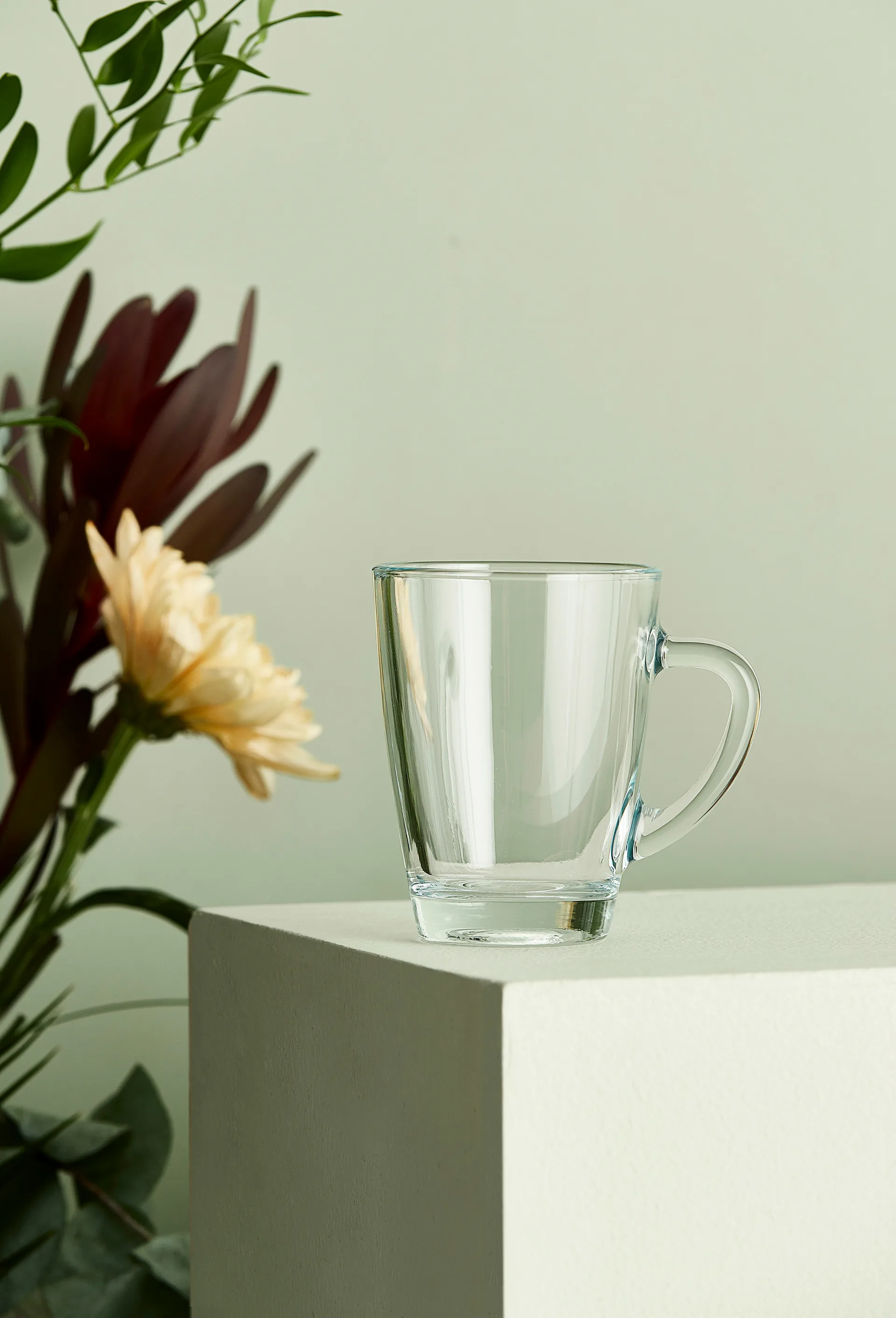 Café コーヒーグラス 30 cl, Clear Aida | アイーダ