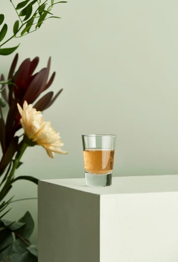 Café ショットグラス 6.2 cl - Clear - Aida | アイーダ