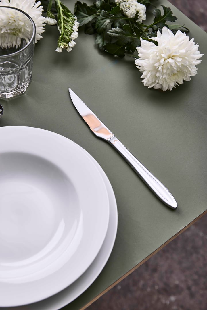 Gastro ステーキナイフ, Stainless steel Aida | アイーダ