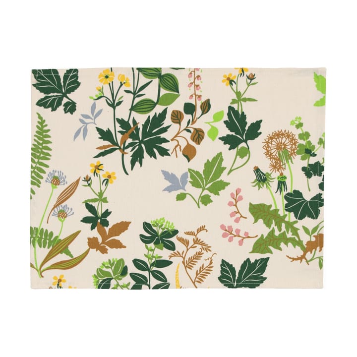 Ängsö プレースマット 34x45 cm 2個セット, Multi-beige Almedahls | アルメダールズ