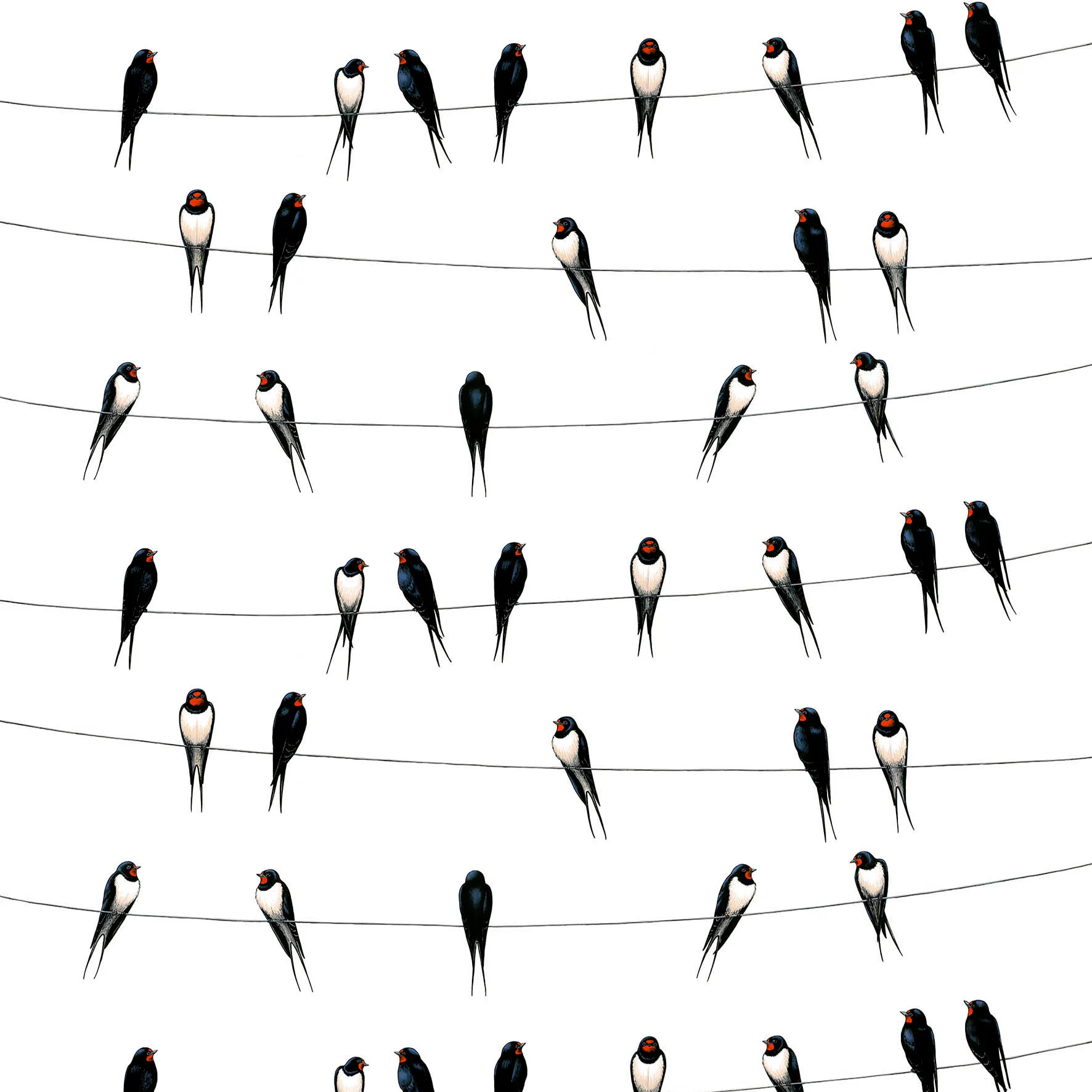 Ladusvalor ファブリック, white Arvidssons Textil | アルビットソン