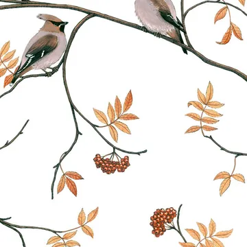 Sidensvansar ファブリック - white-beige - Arvidssons Textil | アルビットソン