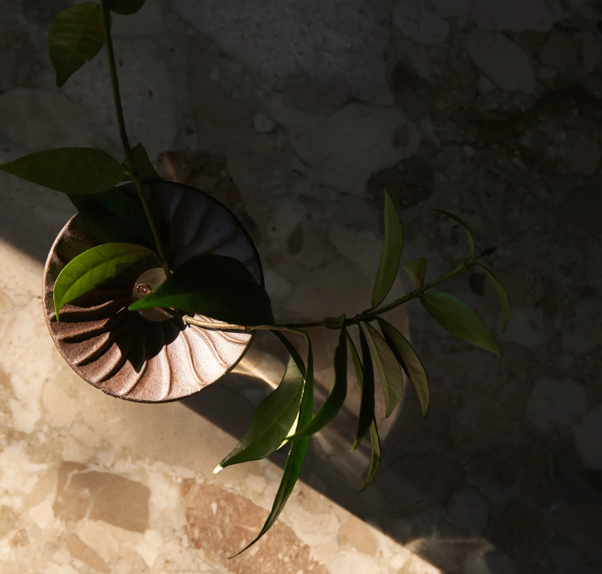 Cresco Propagation 花瓶 2本セット, Brown-clear Audo Copenhagen | オドー・コペンハーゲン