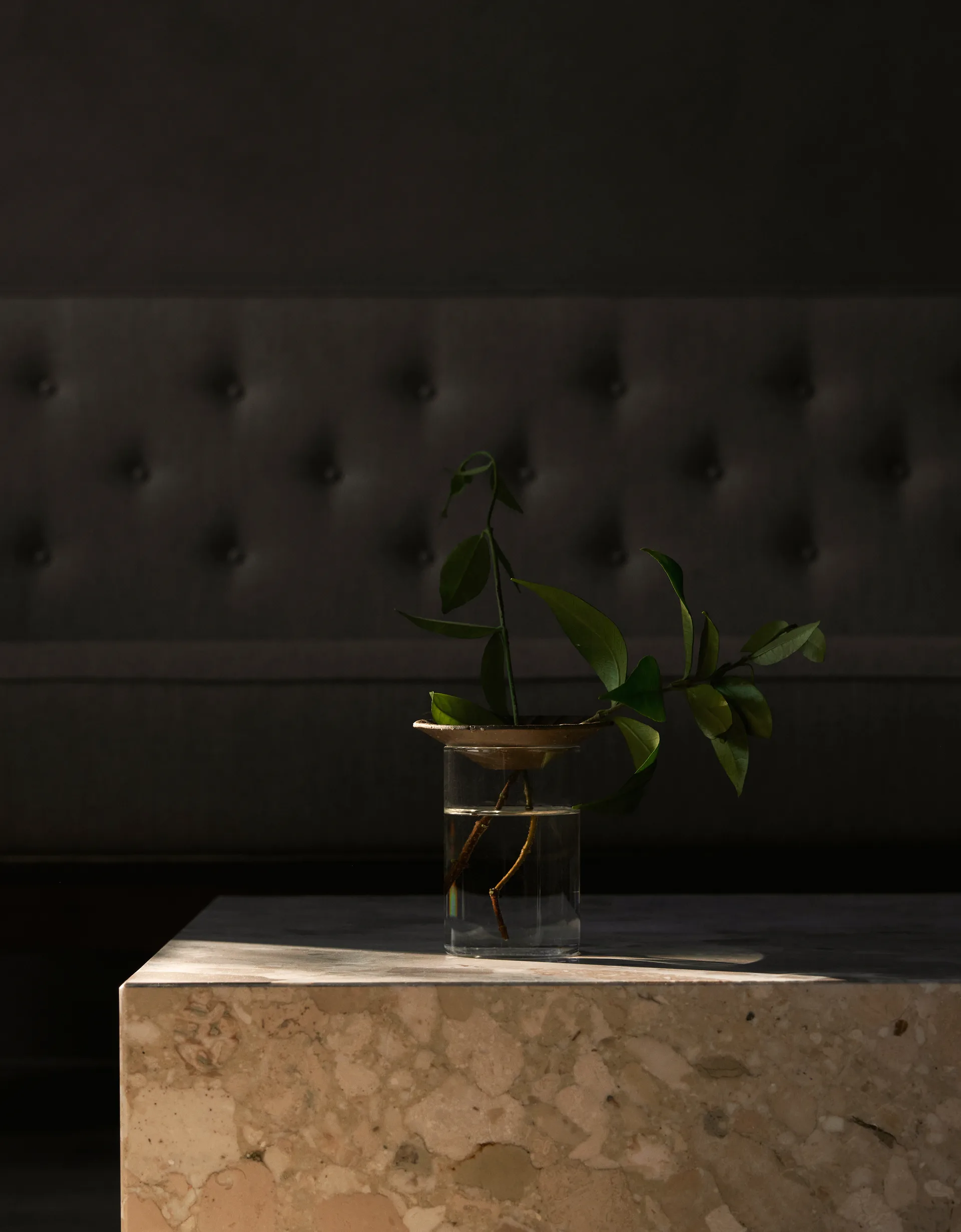 Cresco Propagation 花瓶 2本セット, Brown-clear Audo Copenhagen | オドー・コペンハーゲン