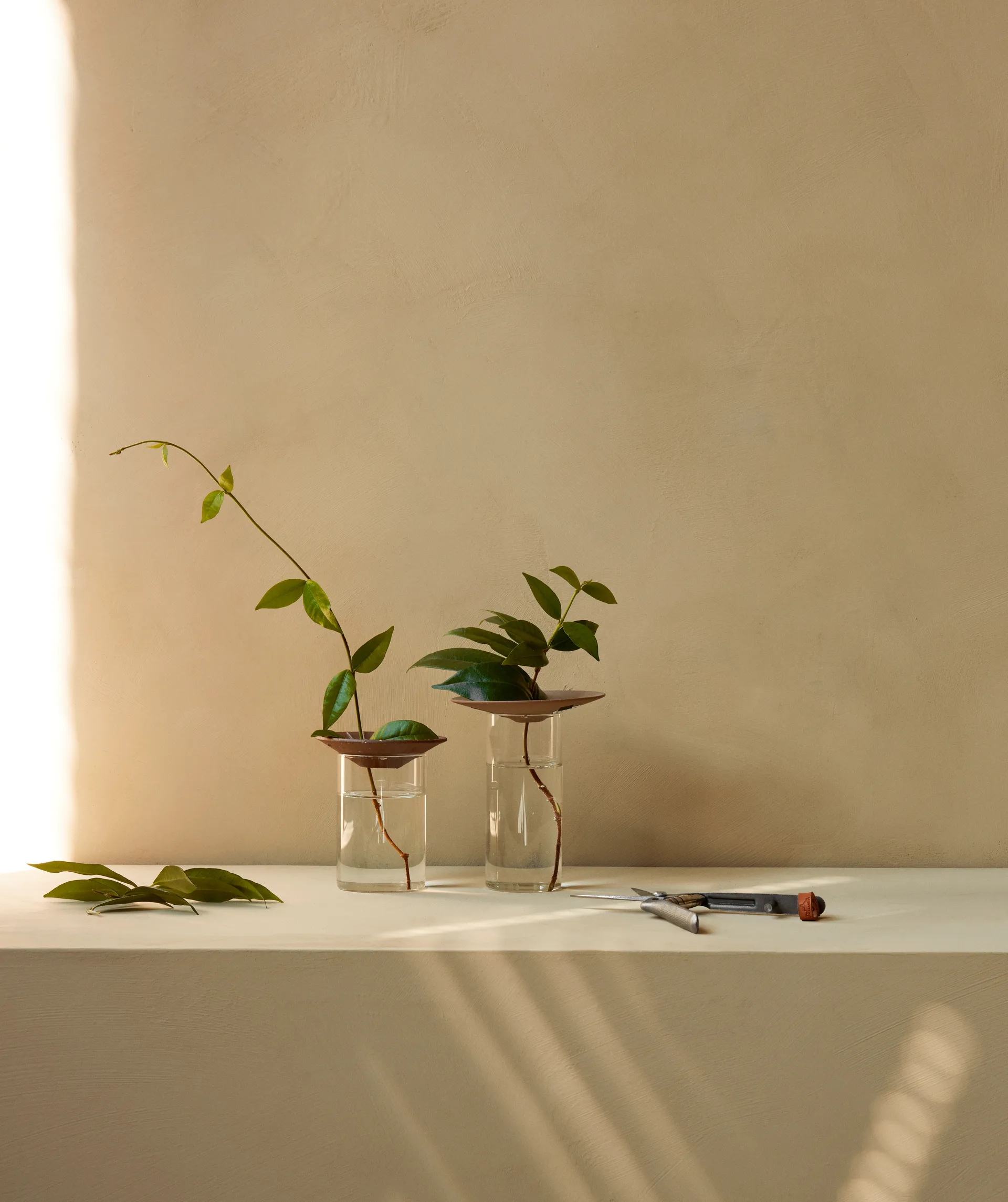 Cresco Propagation 花瓶 2本セット, Brown-clear Audo Copenhagen | オドー・コペンハーゲン