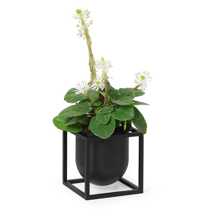 Kubus 植木鉢 10 cm, Black Audo Copenhagen | オドー・コペンハーゲン