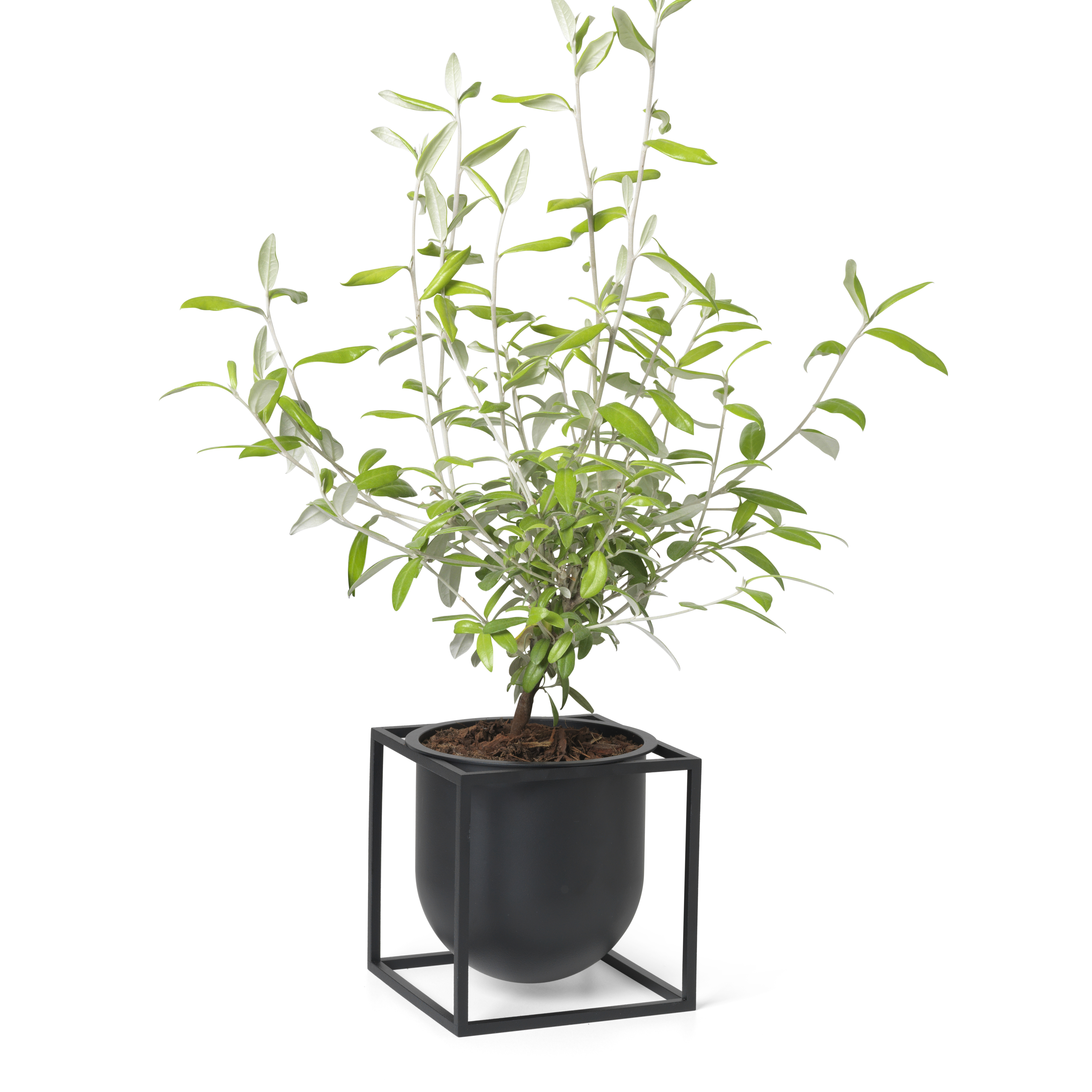 Audo Copenhagen | オドー・コペンハーゲン からのKubus 植木鉢 Audo Copenhagen | オドー・コペンハーゲン からのKubus 植木鉢