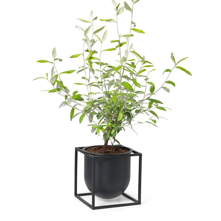 Kubus 植木鉢 14 cm, Black Audo Copenhagen | オドー・コペンハーゲン