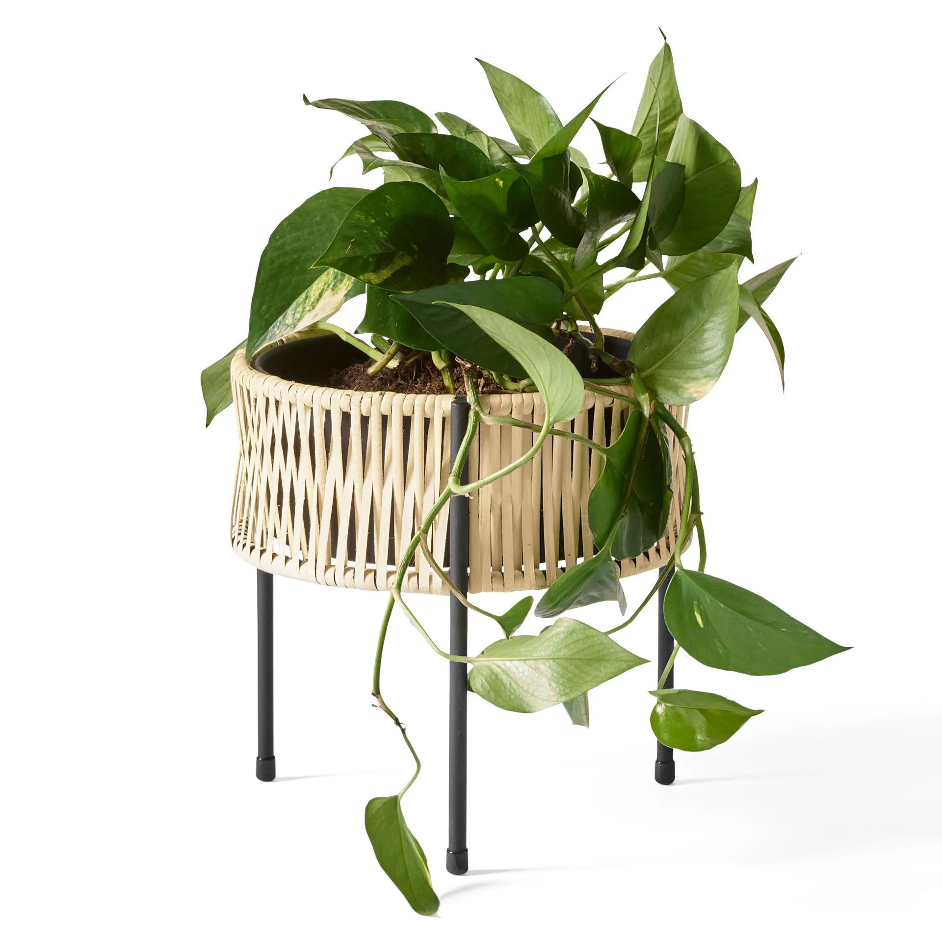 Umanoff planter フラワー ボックス ラタン-スチール, 27 cm Audo Copenhagen | オドー・コペンハーゲン