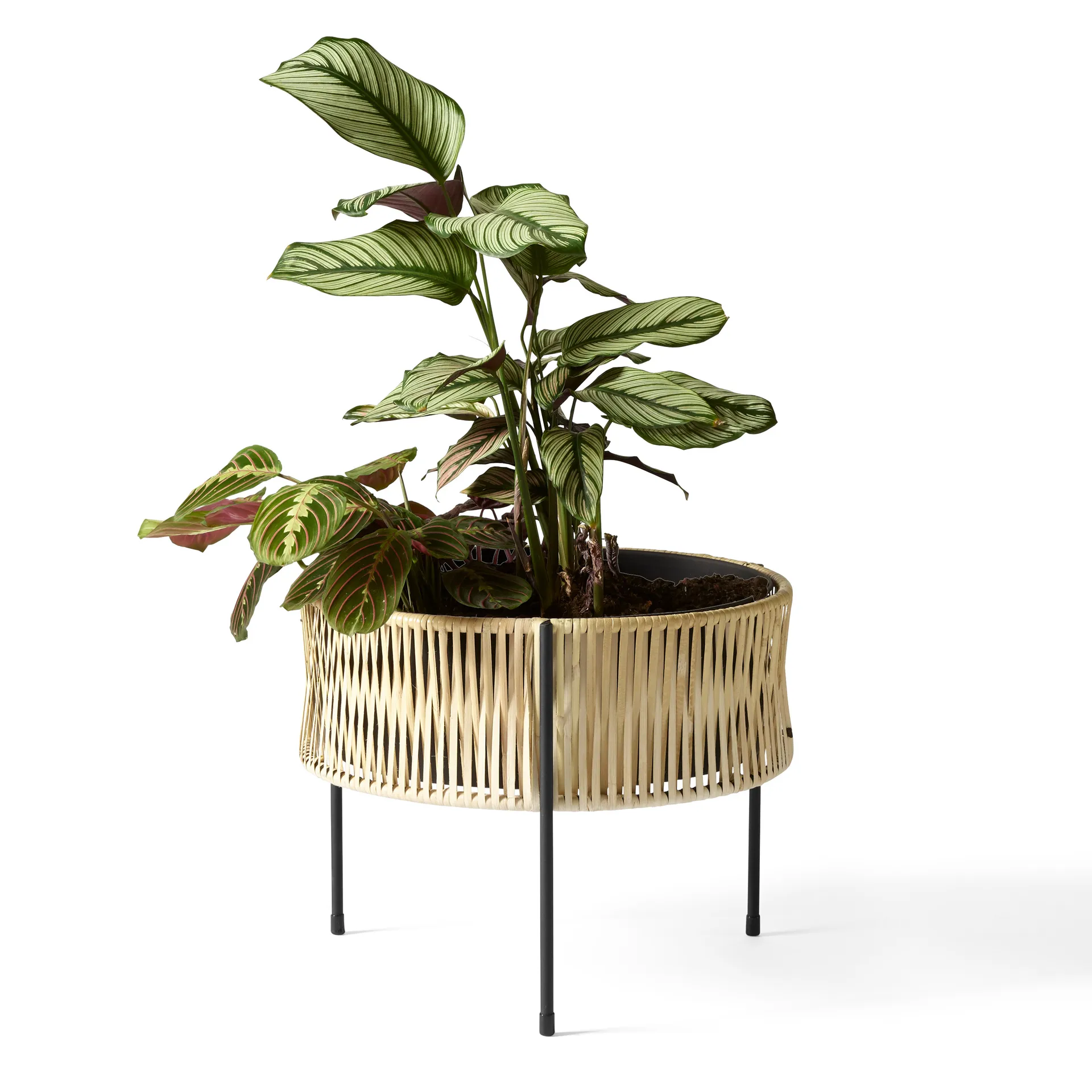 Umanoff planter フラワー ボックス ラタン-スチール, 32.5 cm Audo Copenhagen | オドー・コペンハーゲン