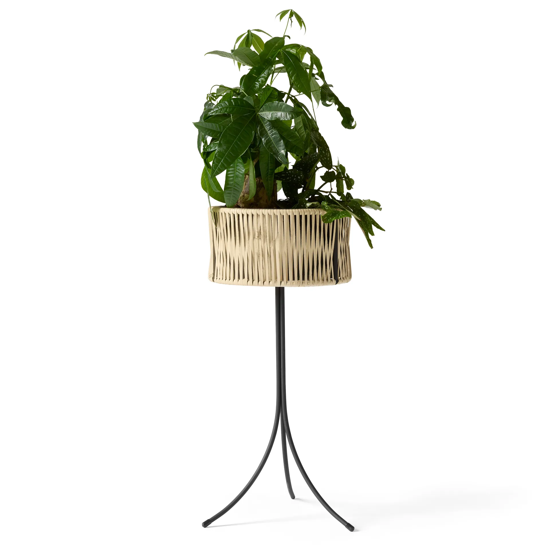 Umanoff planter フラワー ボックス ラタン-スチール, 69 cm Audo Copenhagen | オドー・コペンハーゲン