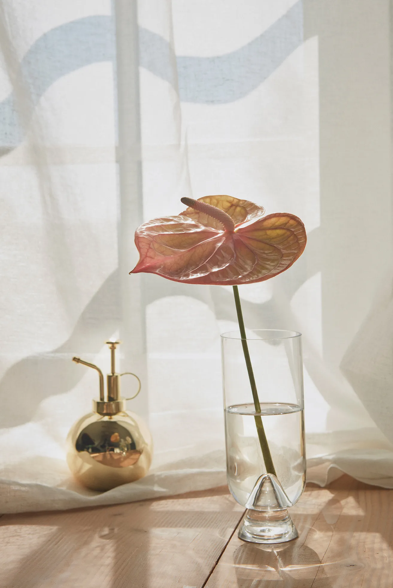 Globe 植物用スプレー, Gold AYTM | アイテム