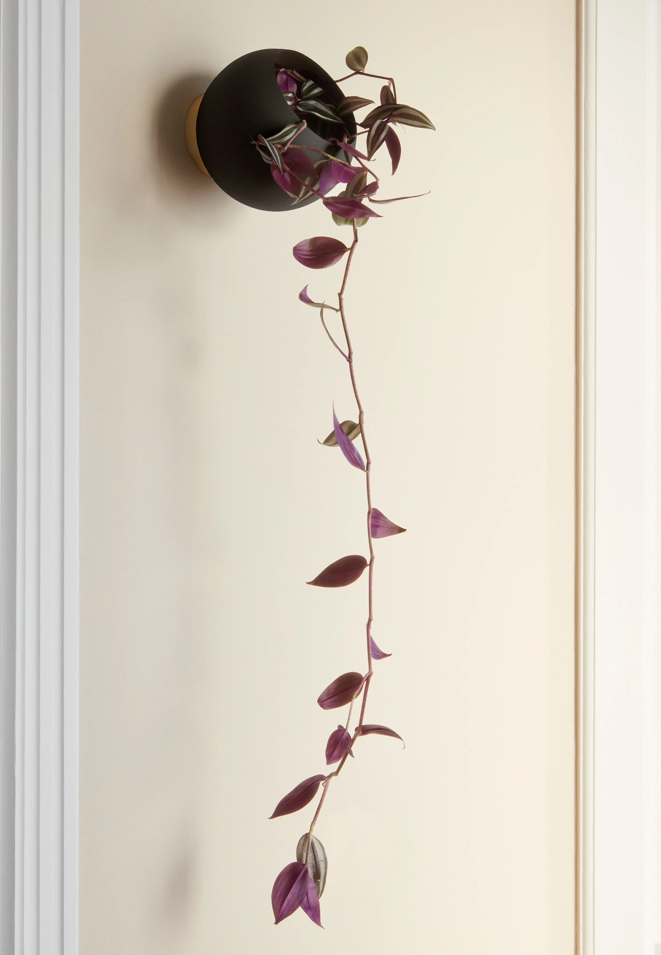 AYTM | アイテム からのGlobe 植木鉢 vägg Ø17 cm - NordicNest.jp