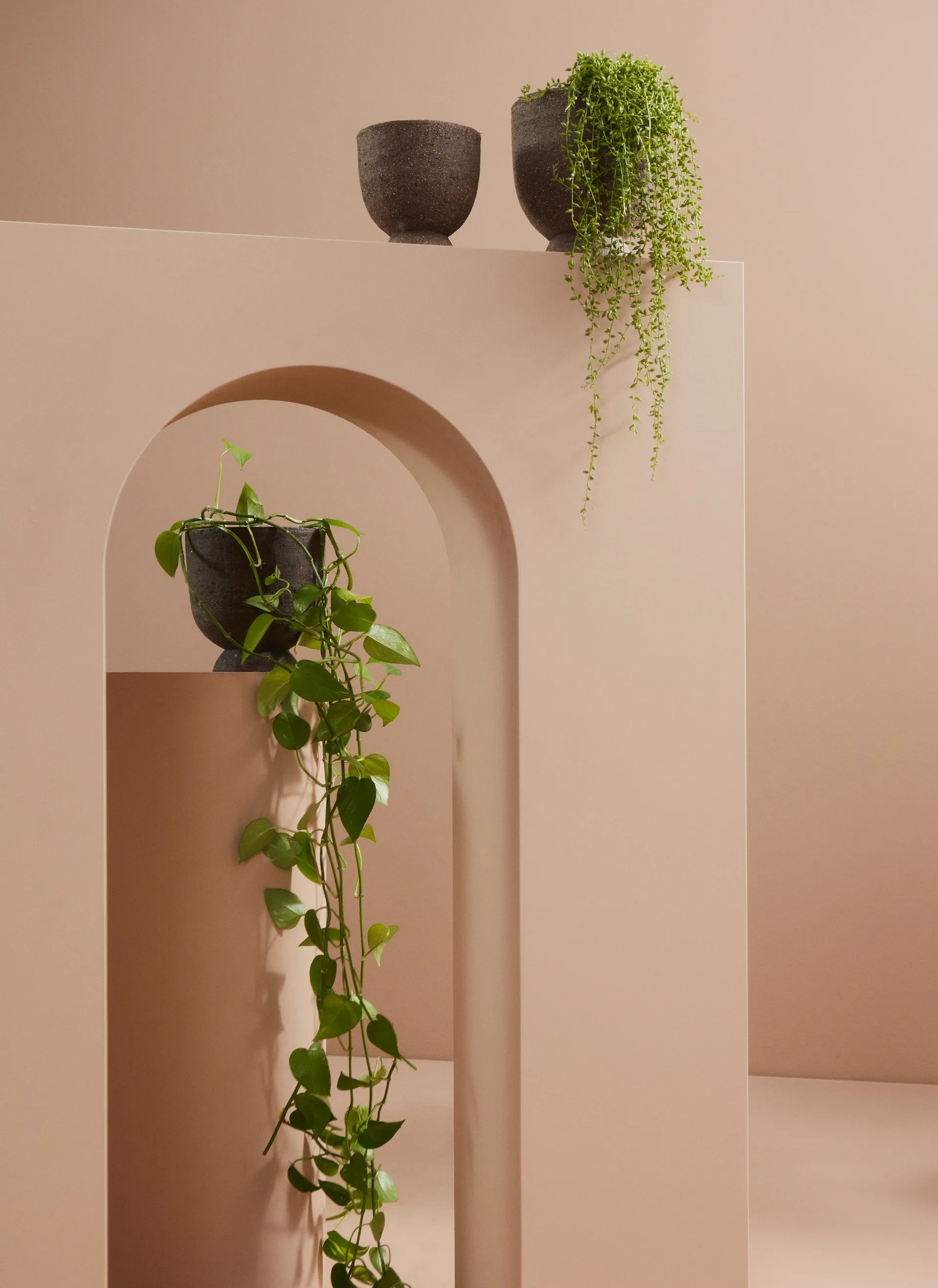 Terra 植木鉢-花瓶 Ø20 cm, Java brown AYTM | アイテム