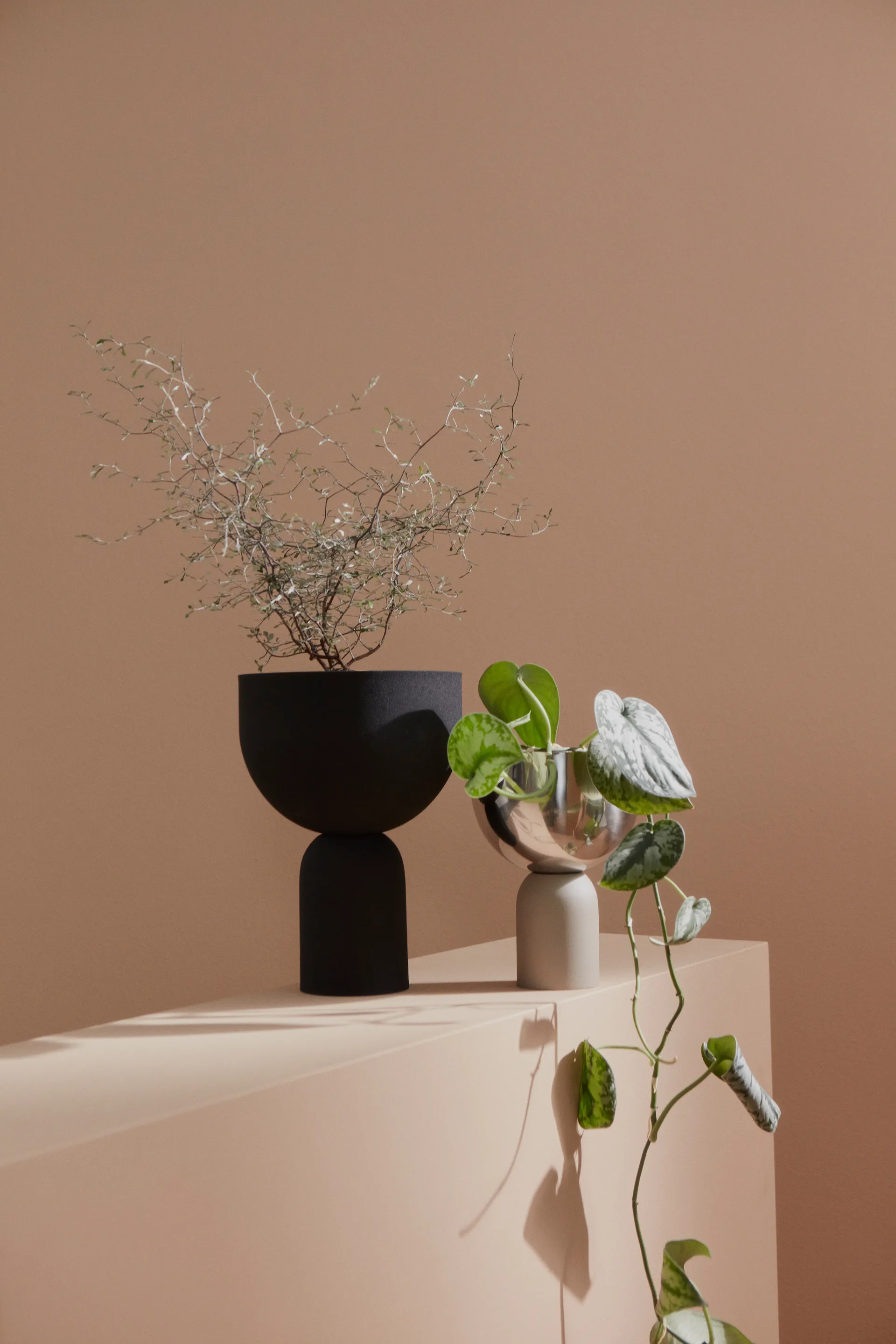 Torus 植木鉢 Ø22 cm, Black-black AYTM | アイテム