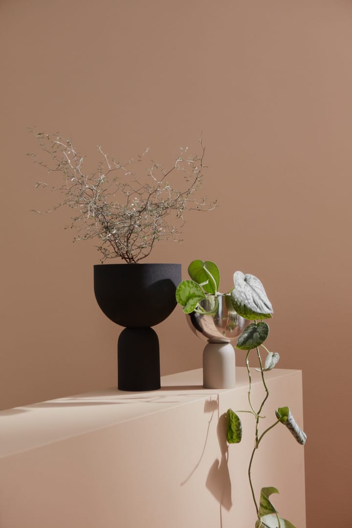 Torus 植木鉢 Ø22 cm, Black-black AYTM | アイテム