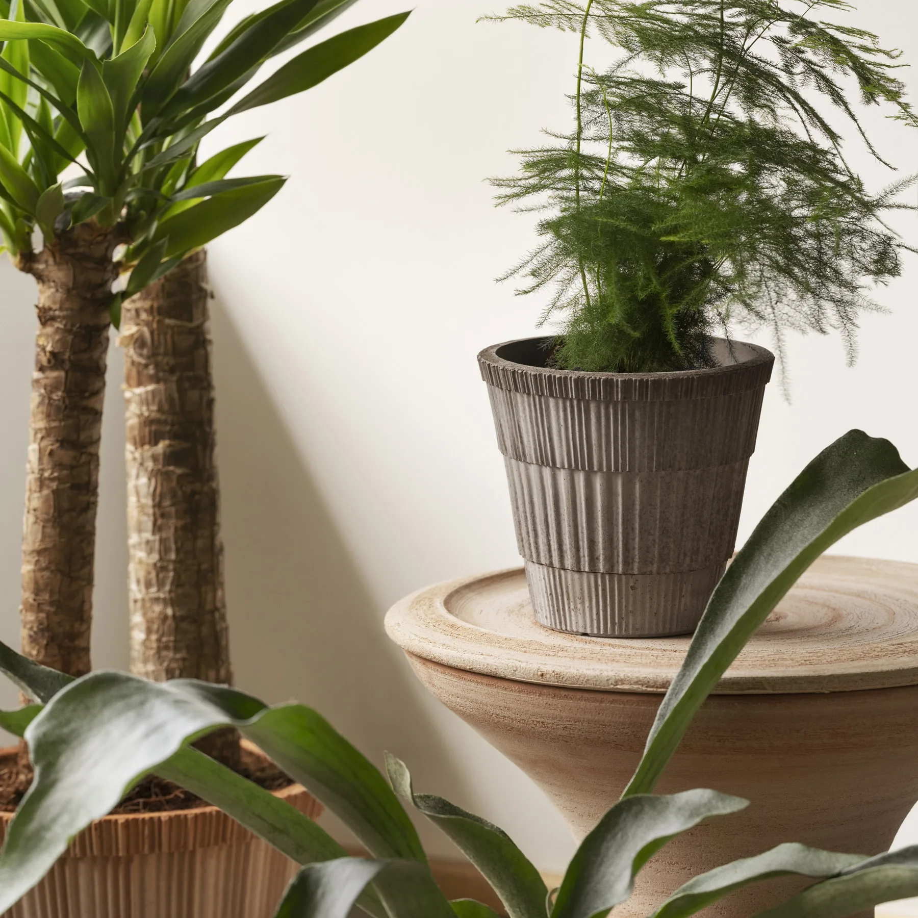 Atlas raw 鉢, Grey, Ø18 cm Bergs Potter | バーグスポッター