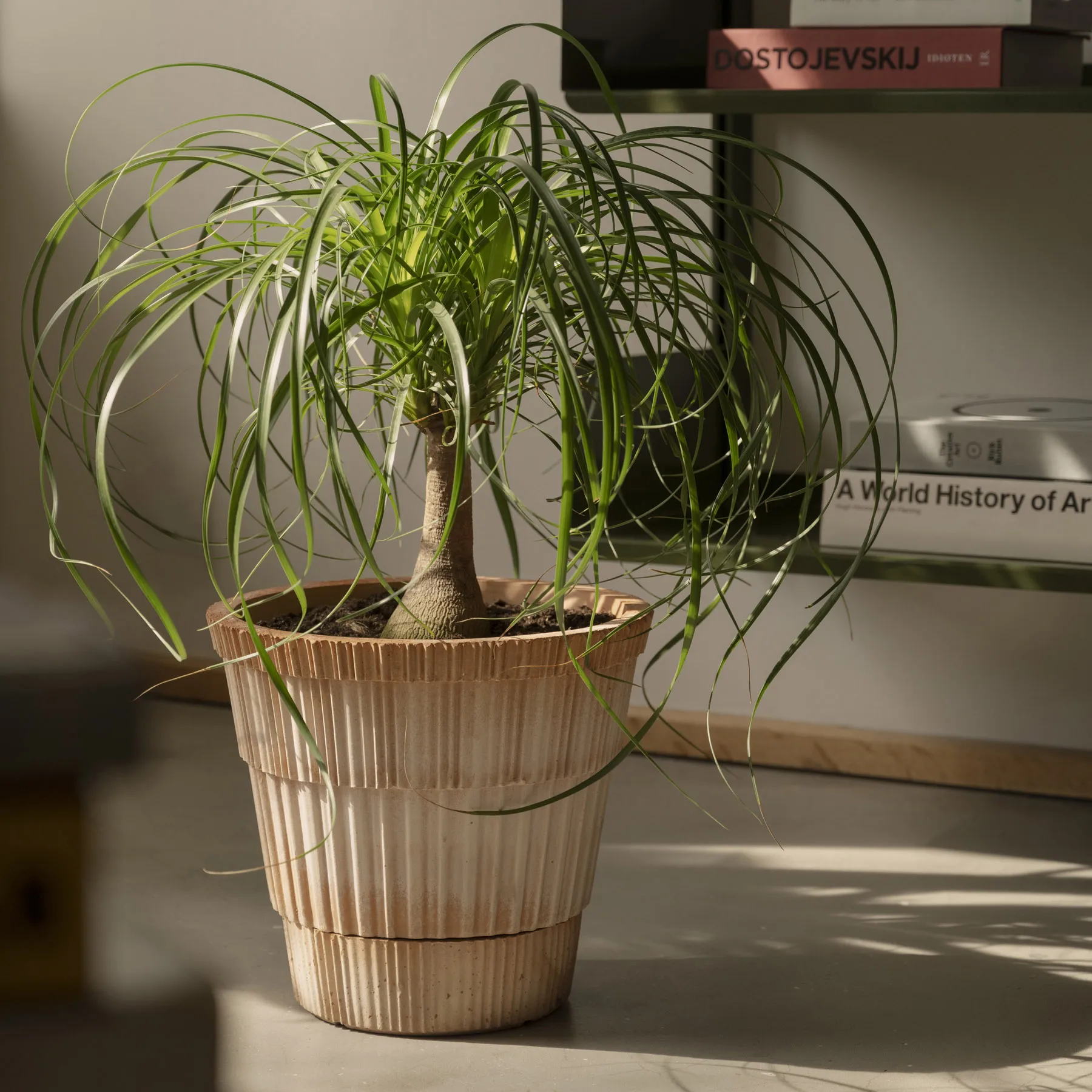 Atlas raw 鉢, Pink, Ø25 cm Bergs Potter | バーグスポッター