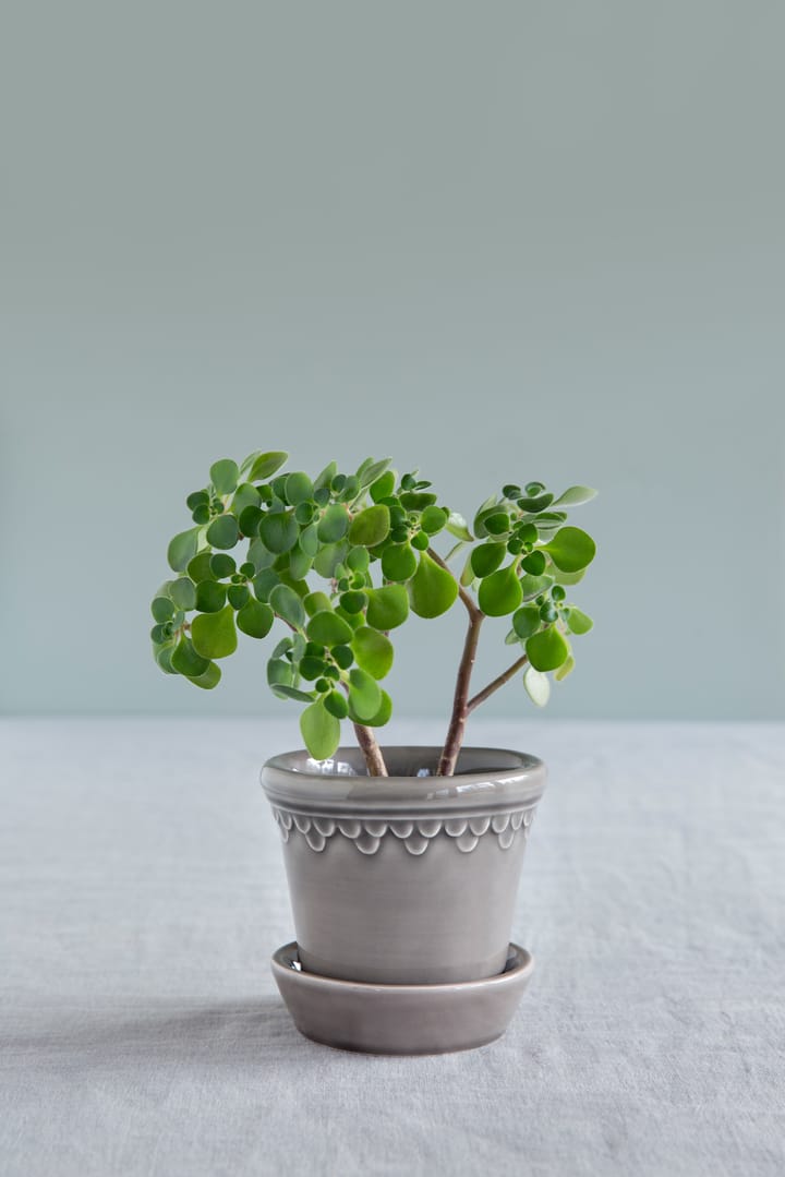Copenhagen 植木鉢 グレーズ 10 cm, Grey Bergs Potter | バーグスポッター