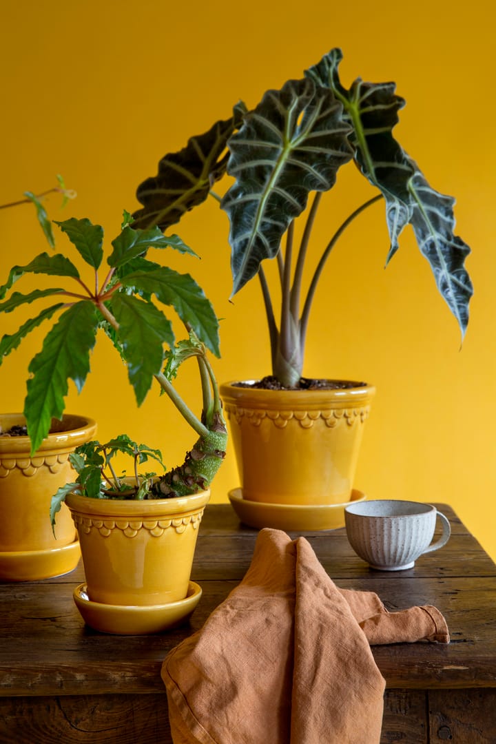 Copenhagen 植木鉢 グレーズ 12 cm, yellow Bergs Potter | バーグスポッター