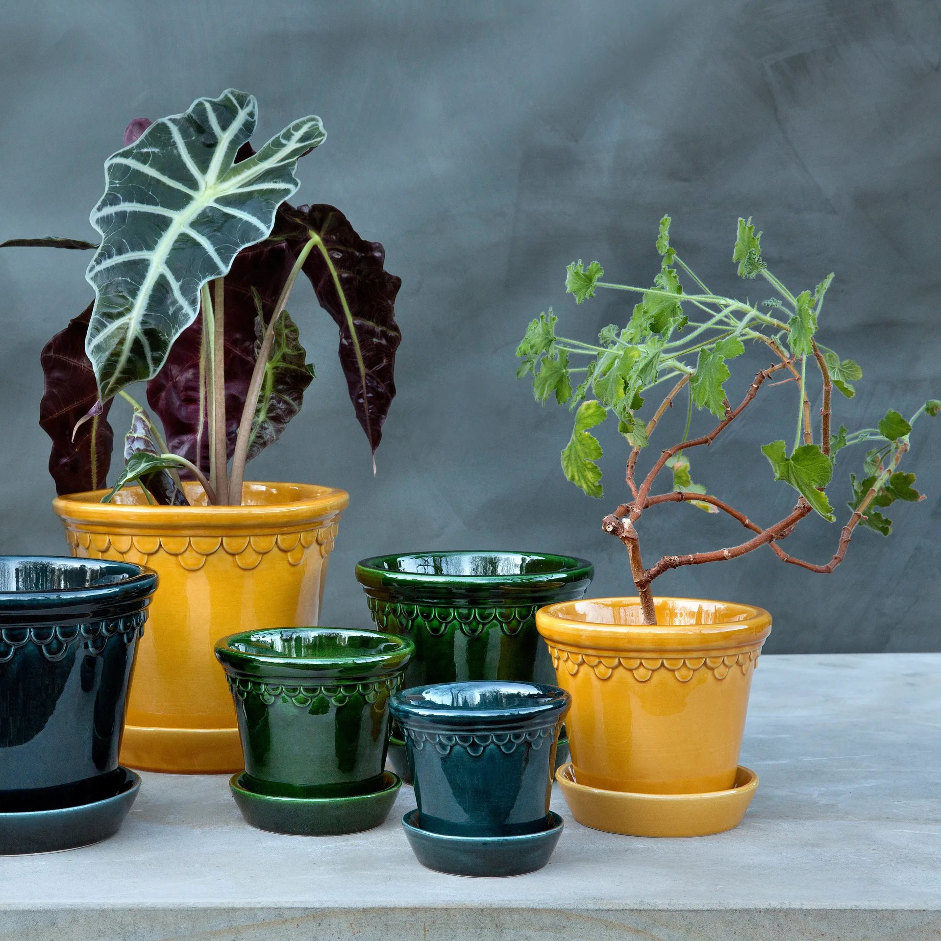 Copenhagen 植木鉢 グレーズ, グリーン, Ø12 cm Bergs Potter | バーグスポッター