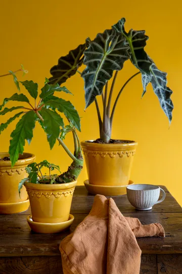 Copenhagen 植木鉢 グレーズ - イエロー, Ø12 cm - Bergs Potter | バーグスポッター