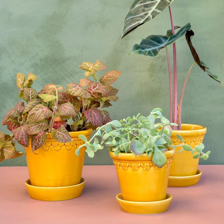 Copenhagen 植木鉢 グレーズ 16 cm, Yellow Bergs Potter | バーグスポッター