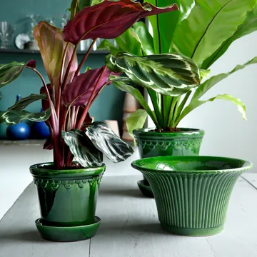 Copenhagen 植木鉢 グレーズ - グリーン, Ø16 cm - Bergs Potter | バーグスポッター