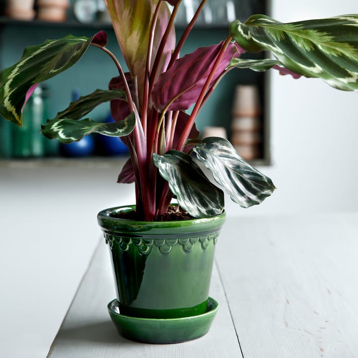 Copenhagen 植木鉢 グレーズ 18 cm, Green Bergs Potter | バーグスポッター