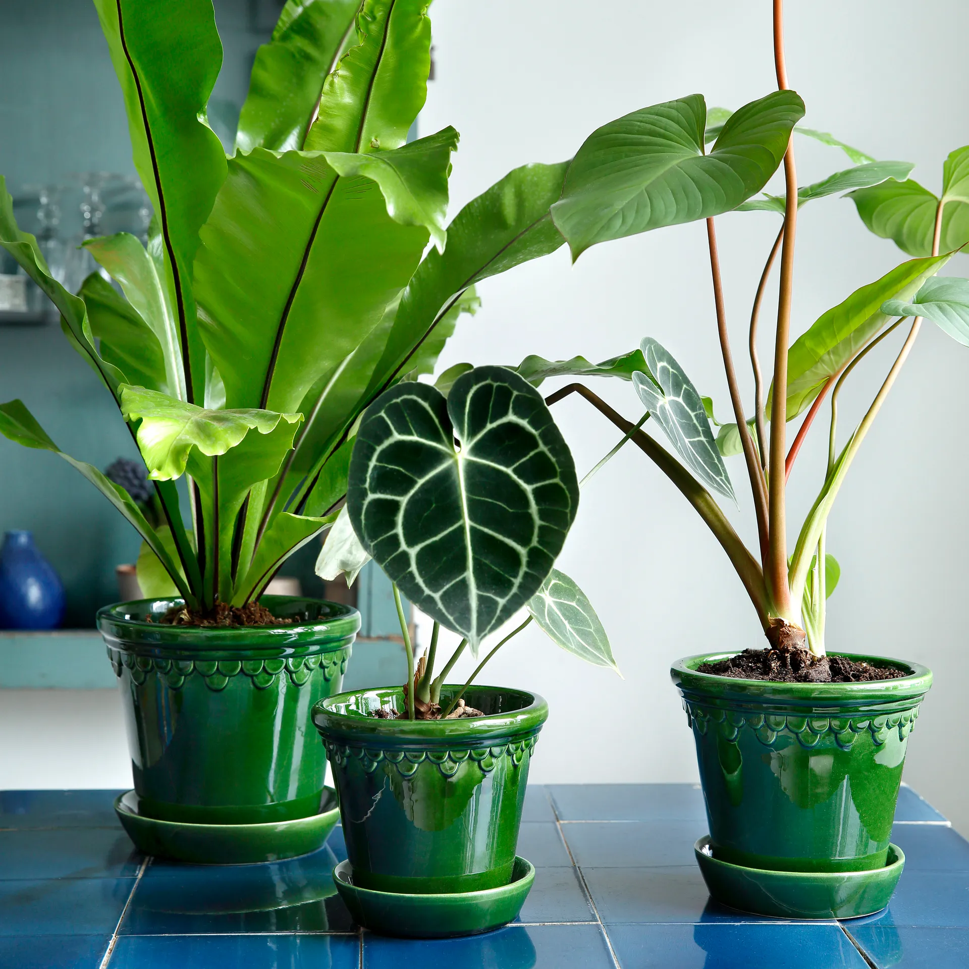 Copenhagen 植木鉢 グレーズ, グリーン, Ø18 cm Bergs Potter | バーグスポッター