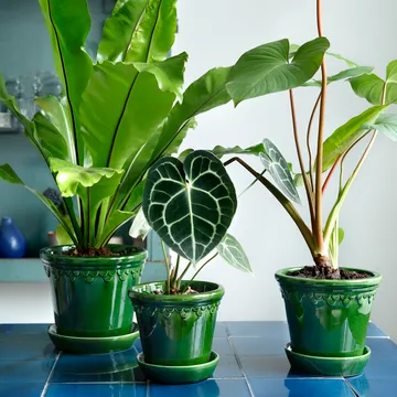 Copenhagen 植木鉢 グレーズ - グリーン, Ø18 cm - Bergs Potter | バーグスポッター