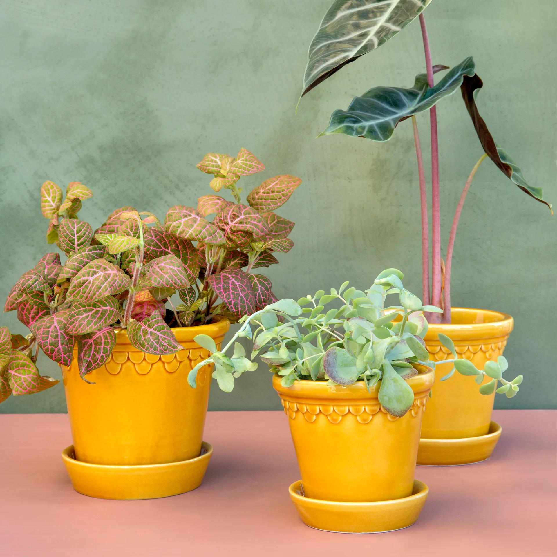 Copenhagen 植木鉢 グレーズ, イエロー, Ø18 cm Bergs Potter | バーグスポッター