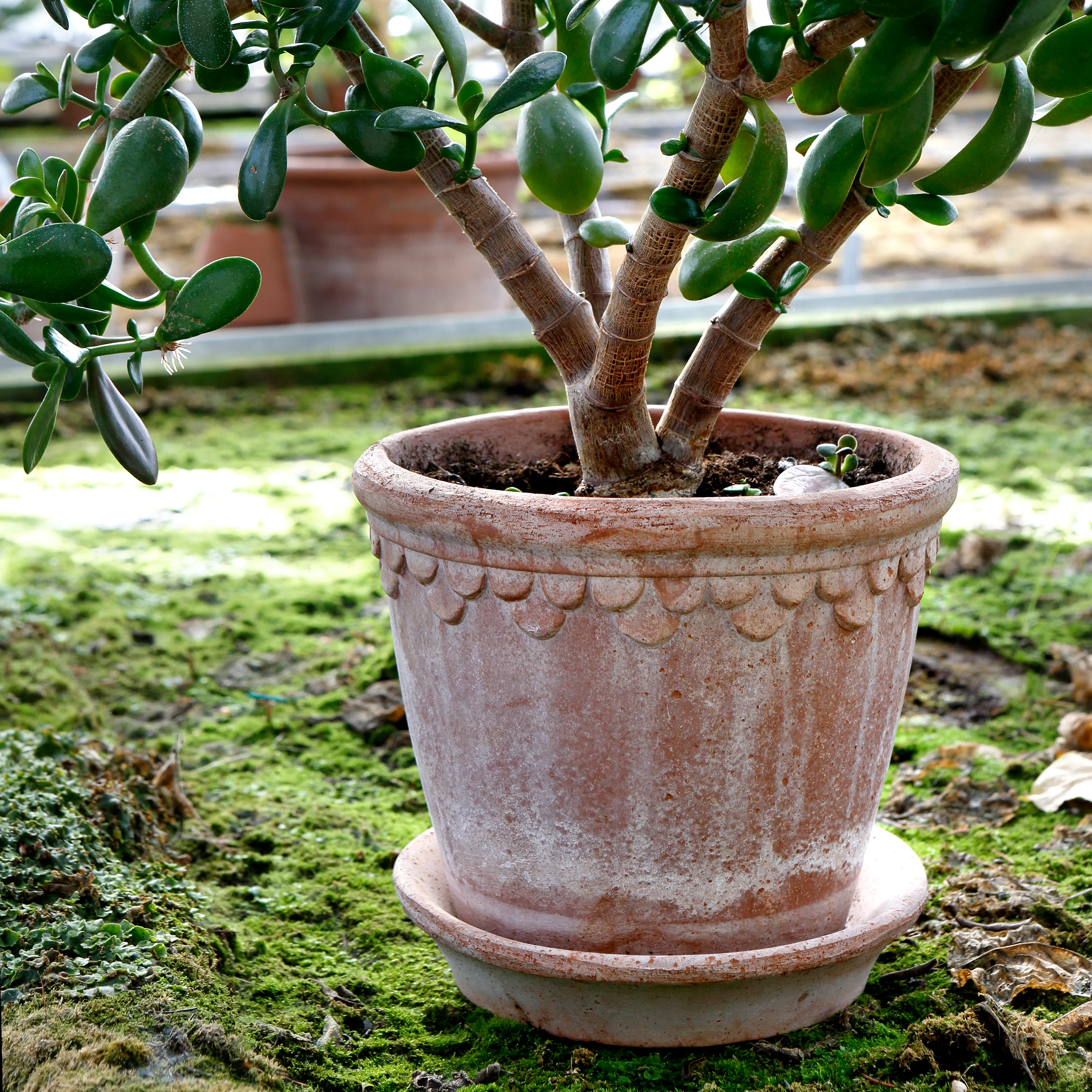 Bergs Potter | バーグスポッター からのCopenhagen 植木鉢 21 cm