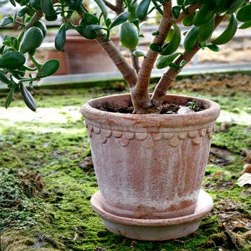 Copenhagen 植木鉢 21 cm - Pink - Bergs Potter | バーグスポッター