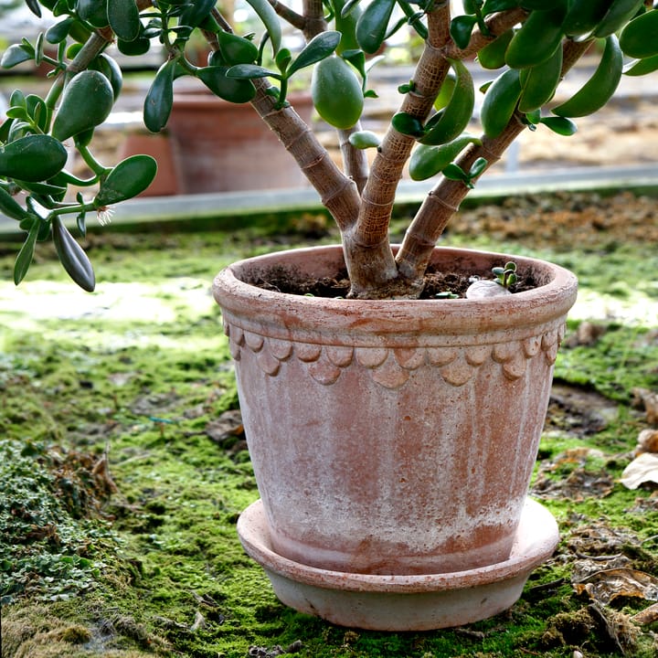 Copenhagen 植木鉢 21 cm, Pink Bergs Potter | バーグスポッター