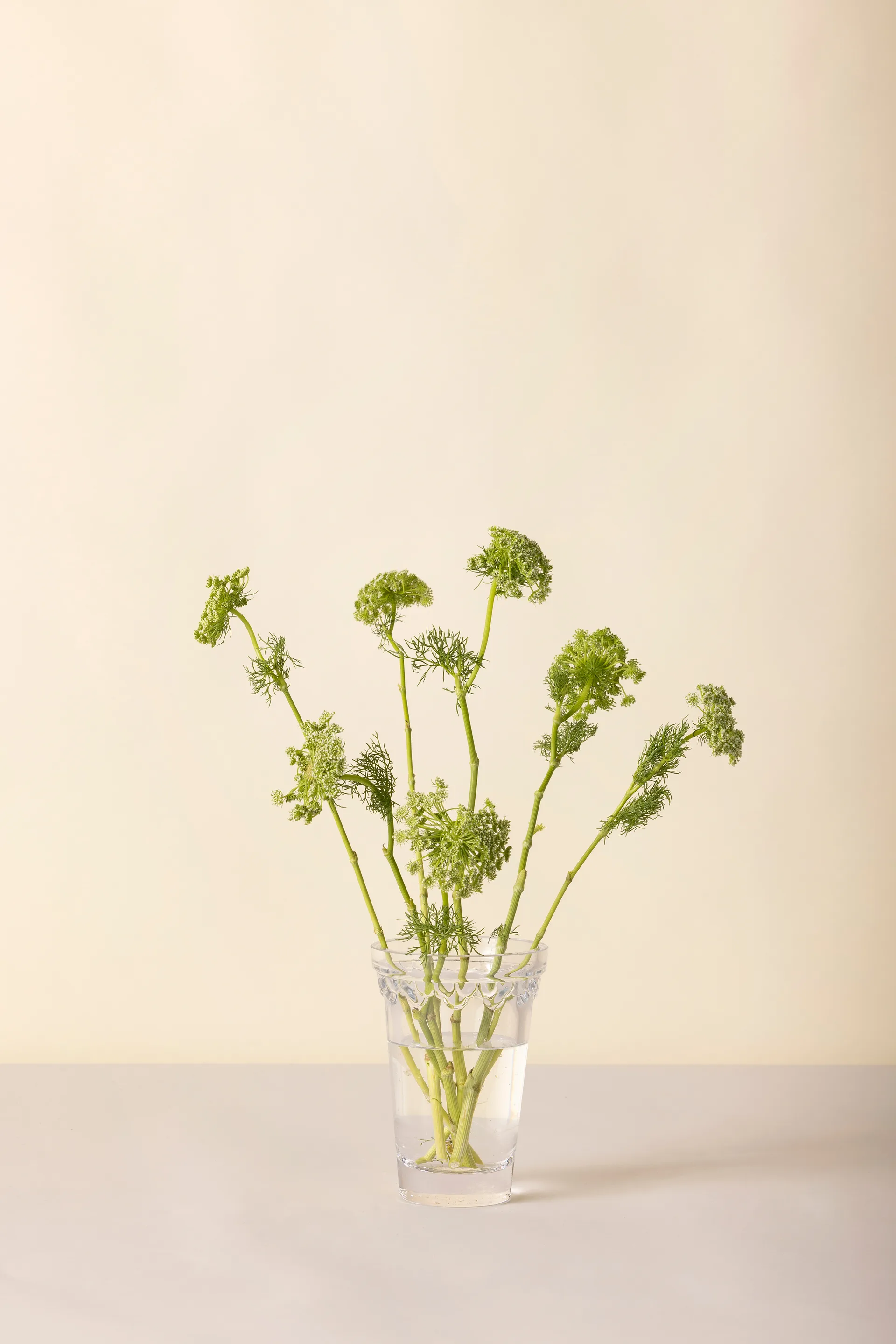 Copenhagen ベース, Clear, 18.5 cm Bergs Potter | バーグスポッター