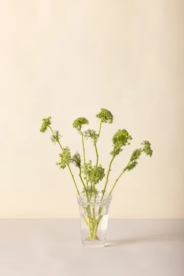 Copenhagen ベース - Clear, 18.5 cm - Bergs Potter | バーグスポッター