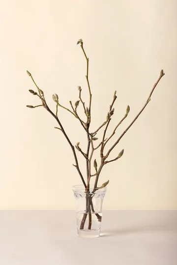 Copenhagen ベース - Clear, 18.5 cm - Bergs Potter | バーグスポッター