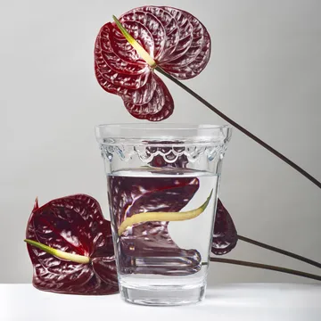 Copenhagen 花瓶 - Clear, 21 cm - Bergs Potter | バーグスポッター