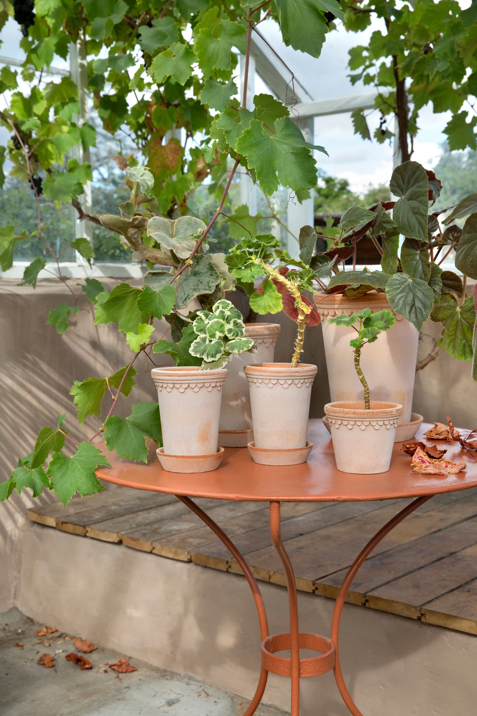 Copenhagen 鉢 high Ø10 cm, pink Bergs Potter | バーグスポッター