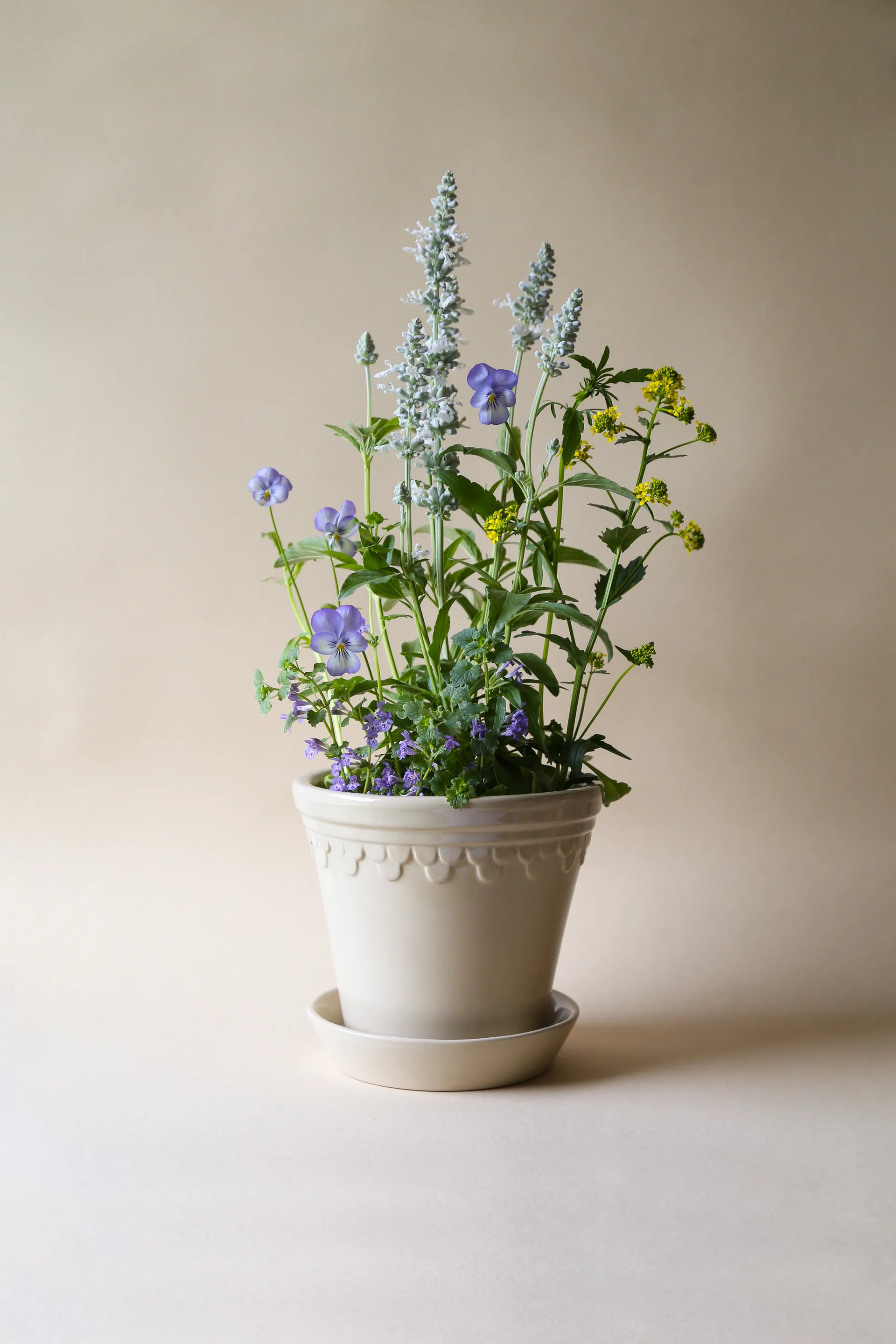 Copenhagen 植木鉢 グレーズ, Sand Stone, Ø10 cm Bergs Potter | バーグスポッター