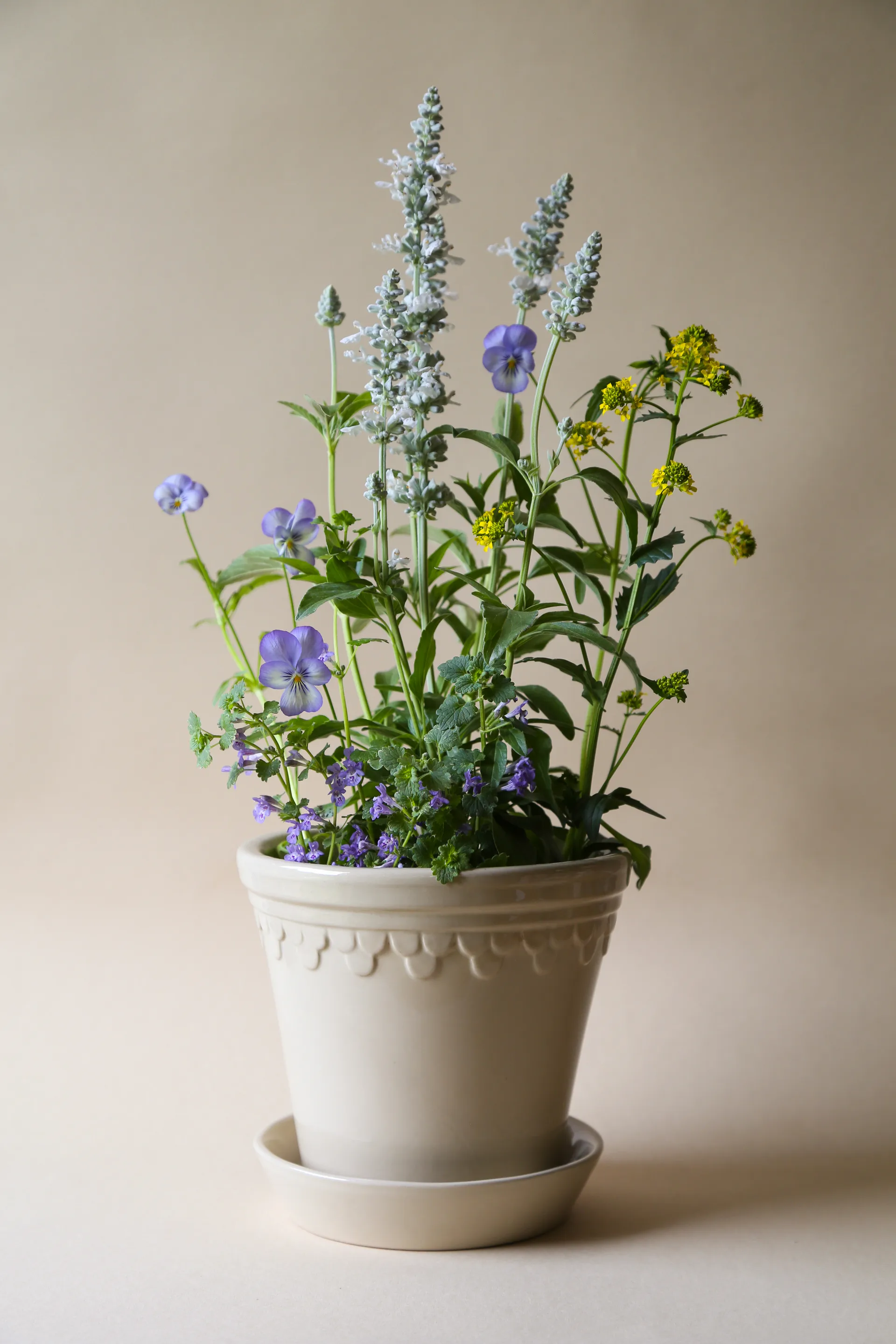 Copenhagen 植木鉢 グレーズ, Sand Stone, Ø12 cm Bergs Potter | バーグスポッター