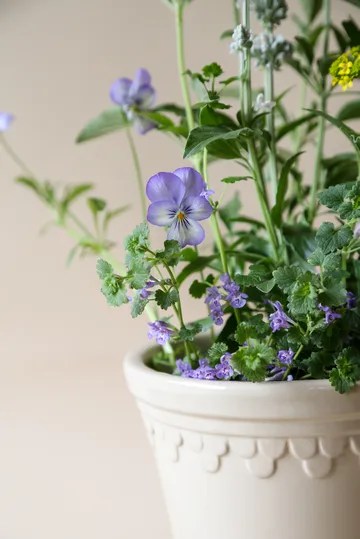 Copenhagen 植木鉢 グレーズ - Sand Stone, Ø16 cm - Bergs Potter | バーグスポッター