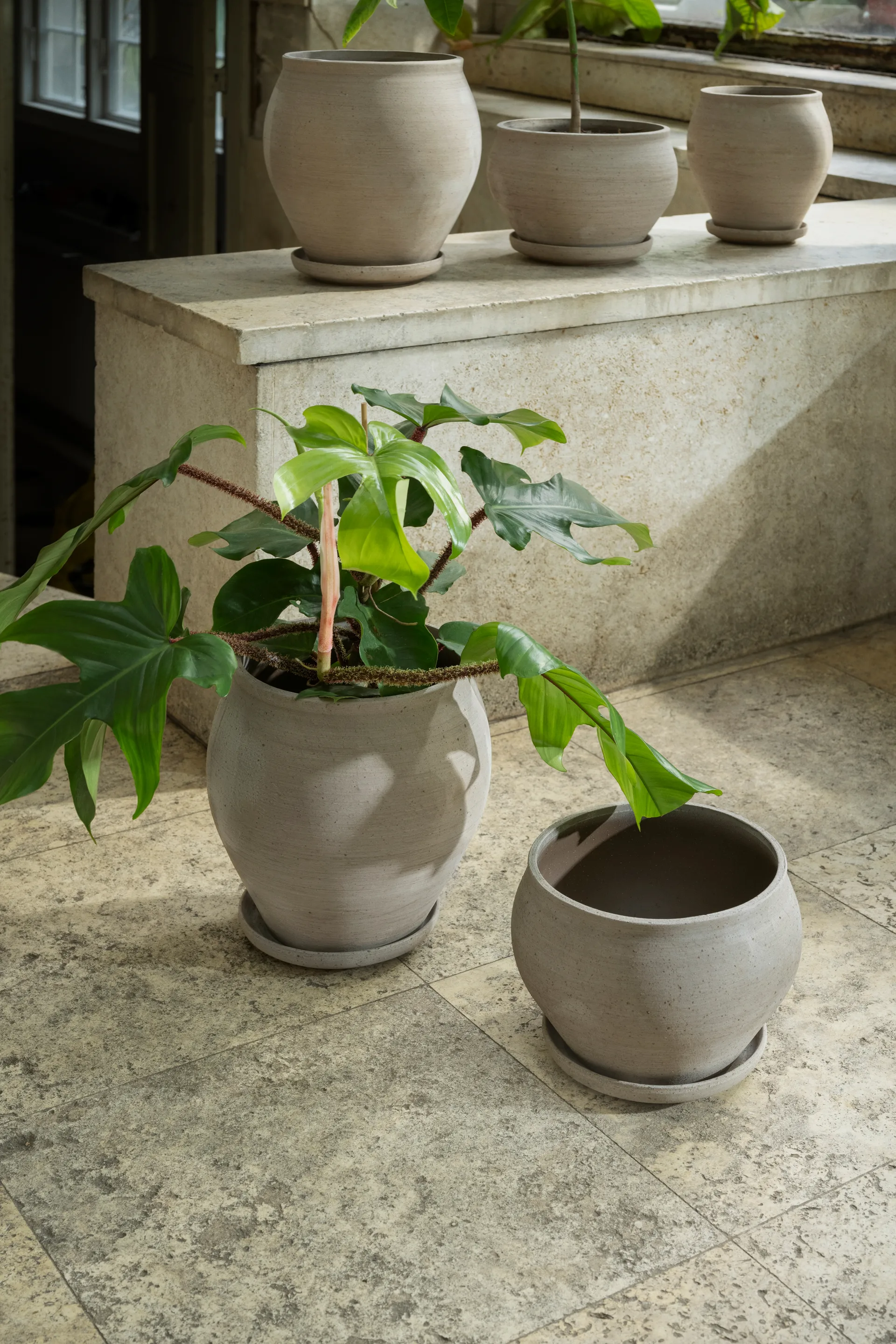 Delphi ポット 受け皿付き 2点セット, Grey, Ø22 cm, tall Bergs Potter | バーグスポッター