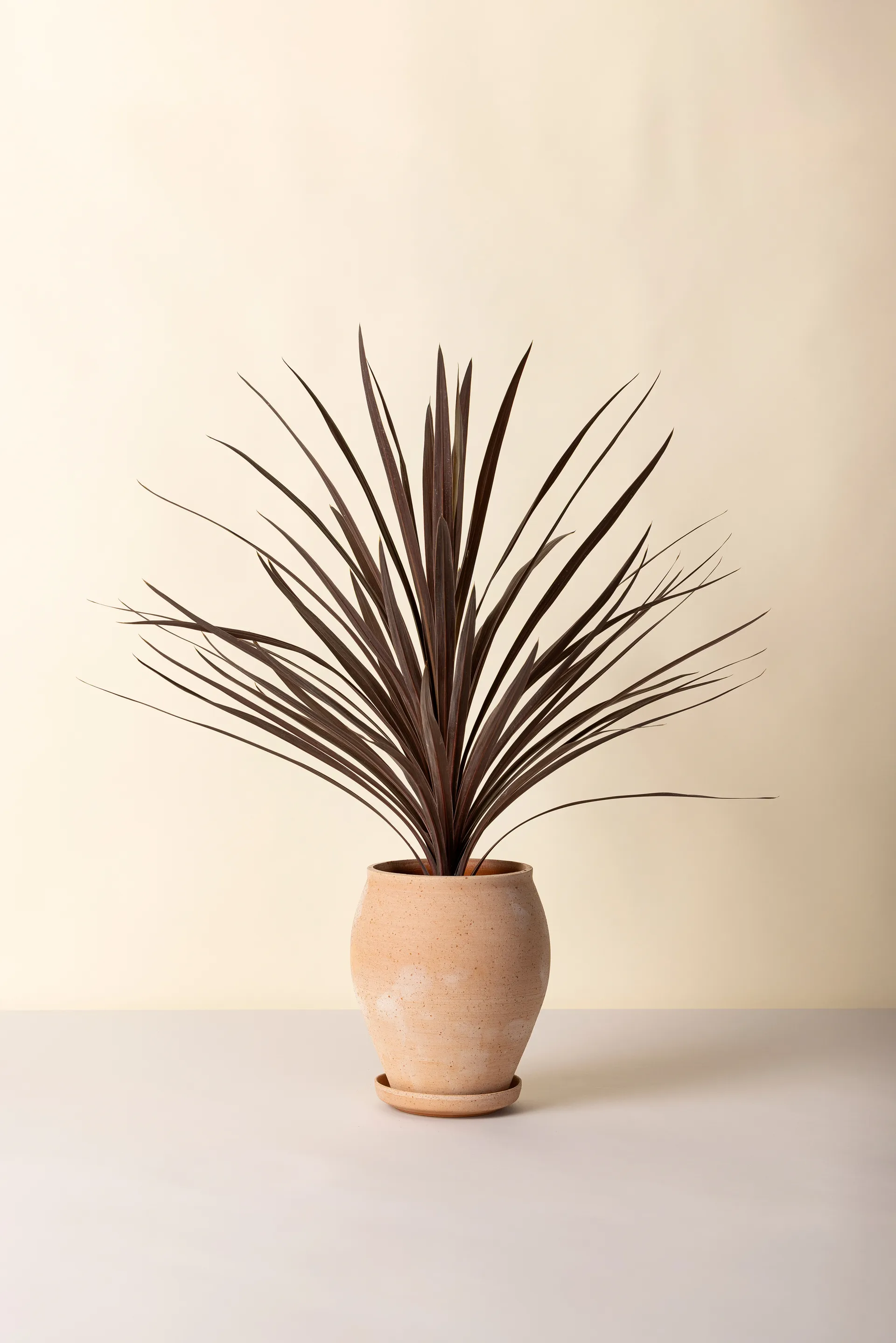 Delphi ポット 受け皿付き 2点セット, Pink, Ø22 cm, tall Bergs Potter | バーグスポッター