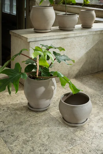 Delphi ポット 受け皿付き - Grey, Ø22 cm, tall - Bergs Potter | バーグスポッター