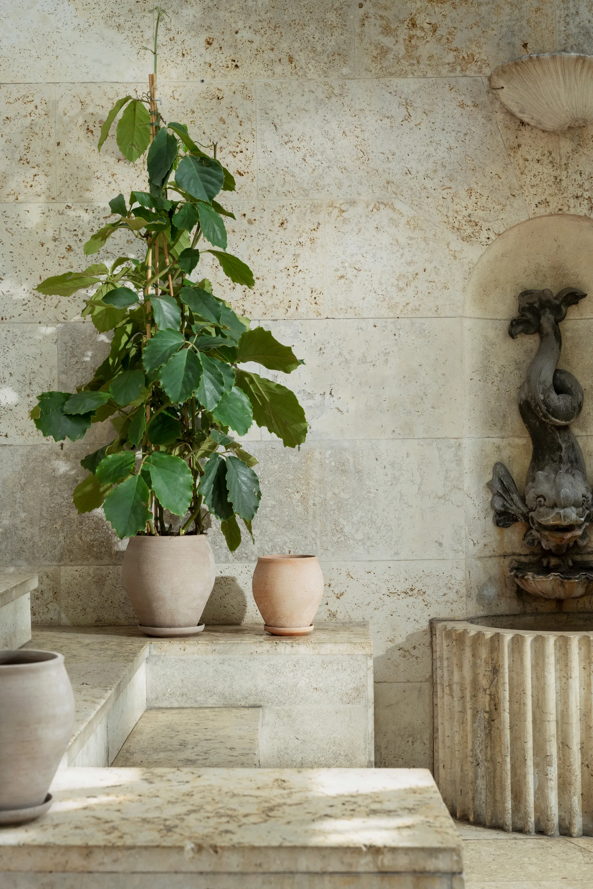 Delphi ポット 受け皿付き, Grey, Ø22 cm, tall Bergs Potter | バーグスポッター