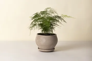 Delphi ポット 受け皿付き - Grey, Ø24 cm, low - Bergs Potter | バーグスポッター